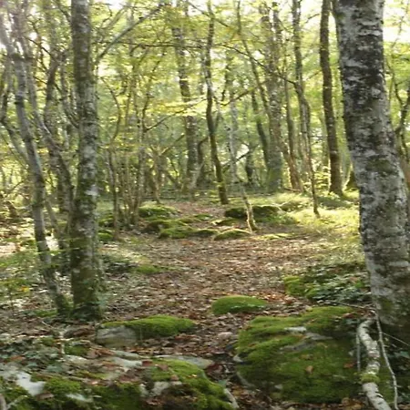 Near Saint-medard-d'excideuil Casa de Férias *
