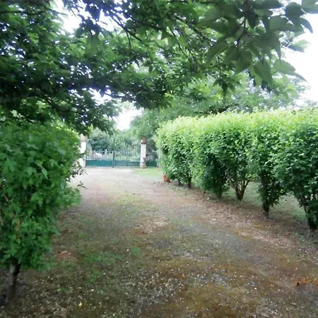 Near Saint-medard-d'excideuil *